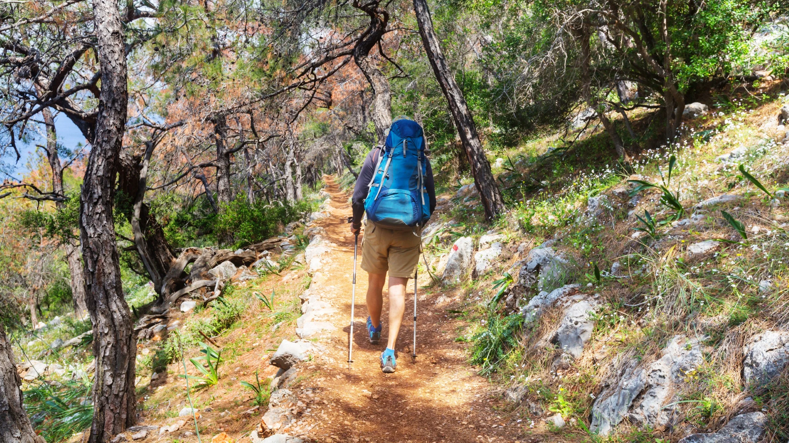 Hiker with backpack on a forest trail in Turkey