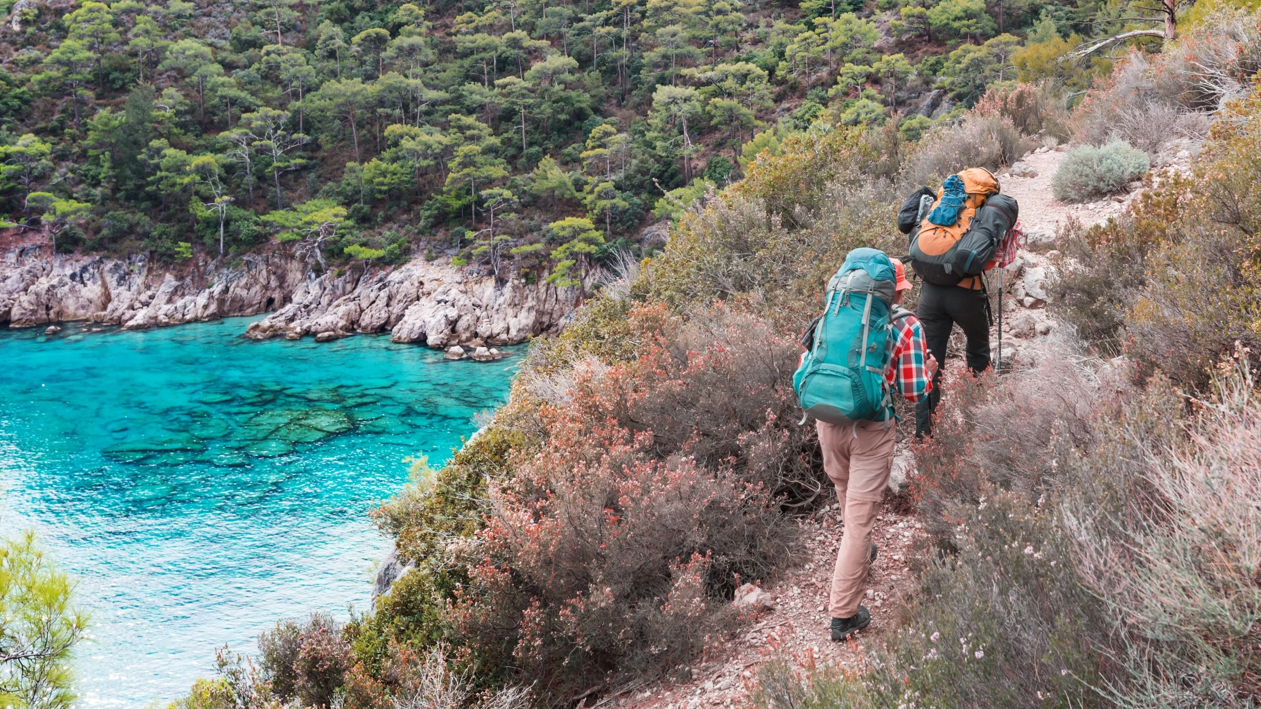 Hikers on a trail overlooking a turquoise bay surrounded by lush greenery.