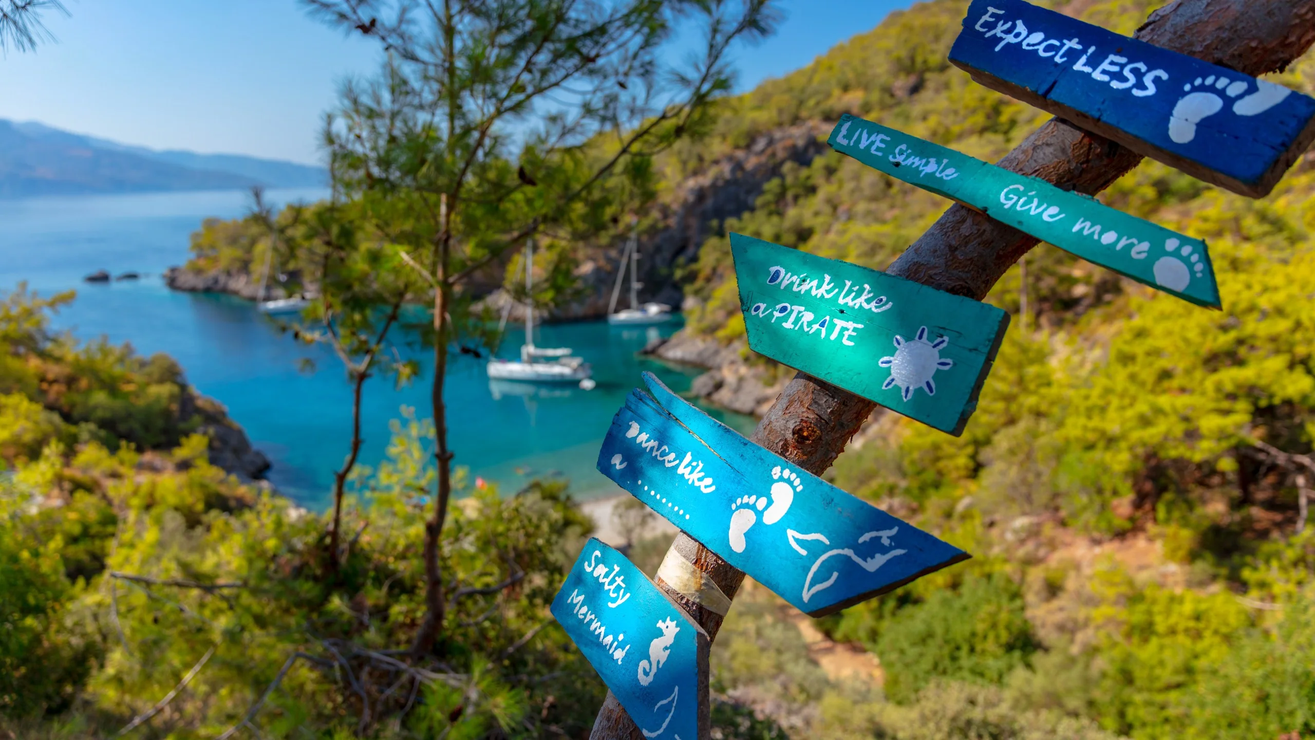 Humorous wooden signs with coastal view and sailboats.